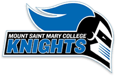 Mount  St. Mary's University